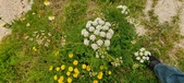 Enlarge photo 82