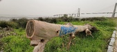 Enlarge photo 87