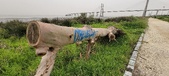 Enlarge photo 88