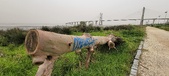 Enlarge photo 89