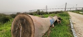 Enlarge photo 94
