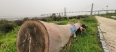 Enlarge photo 93