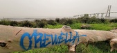 Enlarge photo 92