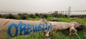 Enlarge photo 91