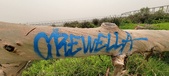 Enlarge photo 95