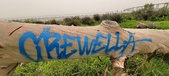 Enlarge photo 96
