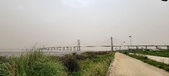 Enlarge photo 97