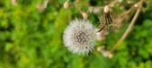 Enlarge photo 102