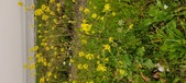 Enlarge photo 104