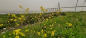 Enlarge photo 105