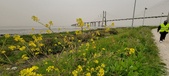 Enlarge photo 106