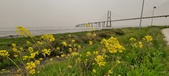 Enlarge photo 107