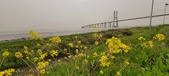 Enlarge photo 108