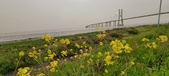 Enlarge photo 109