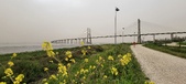 Enlarge photo 110