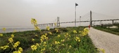 Enlarge photo 111