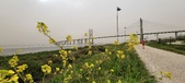 Enlarge photo 112