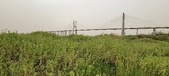 Enlarge photo 113