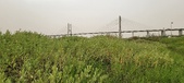 Enlarge photo 114