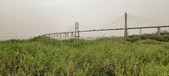 Enlarge photo 115