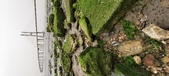 Enlarge photo 117