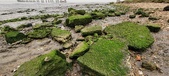 Enlarge photo 119