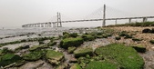 Enlarge photo 120