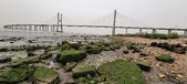 Enlarge photo 121