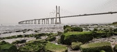 Enlarge photo 124