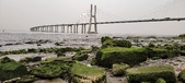 Enlarge photo 126