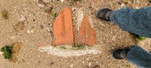 Enlarge photo 128