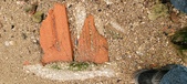Enlarge photo 129