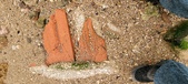 Enlarge photo 130