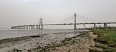Enlarge photo 135