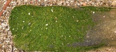 Enlarge photo 141