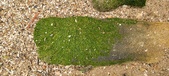 Enlarge photo 146