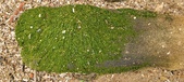 Enlarge photo 144