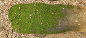 Enlarge photo 143