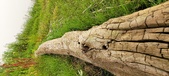 Enlarge photo 155