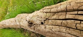 Enlarge photo 159