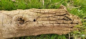 Enlarge photo 158