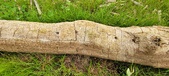Enlarge photo 157
