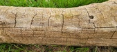 Enlarge photo 156