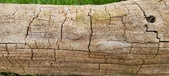 Enlarge photo 160