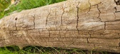 Enlarge photo 161