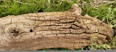 Enlarge photo 162