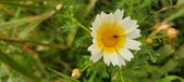 Enlarge photo 148