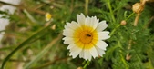 Enlarge photo 149