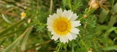 Enlarge photo 150