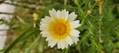 Enlarge photo 151